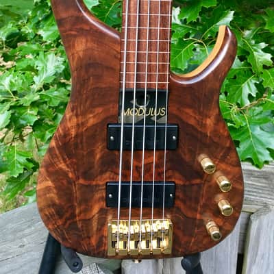 Modulus Q5 lined fretless 1999 figured Walnut top image 1