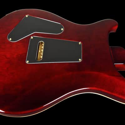 2007 / 2013 Paul Reed Smith PRS Custom 24 Artist Package Brazilian Tortoise Shell image 3
