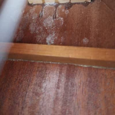 Vintage 1960-70s Kay Classical Acoustic Natural Guitar Clean Harmony Rare Jumbo Shape ?! A Jumbo Classical! Well Made Heavy Thick Tortoise Double Binding image 16