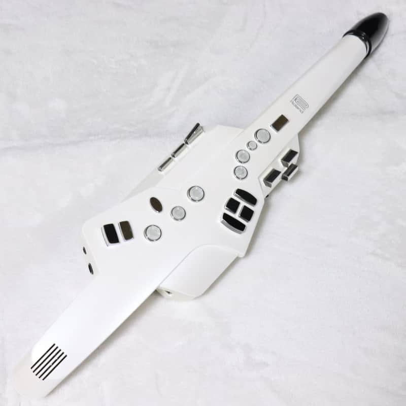 Roland AE-10 Aerophone (06/26)