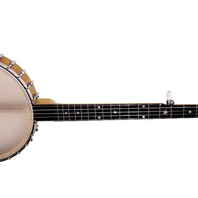 Gold Tone BC-350 Bob Carlin Banjo w/case image 2