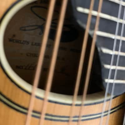 Lyon & Healy Style C Mandolin 1920 image 10