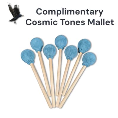 24" (F#2-25) Eclipse Gong by Raven Sounds, Handmade Bronze Wind Gong, Free Mallet image 4
