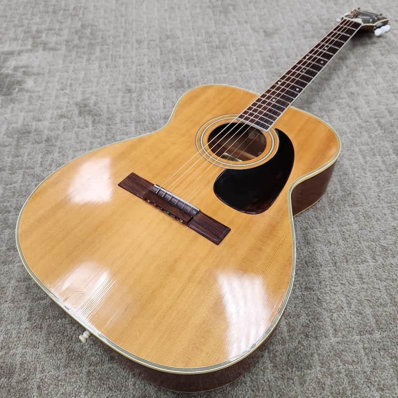 Vintage 1972 Harmony Sovereign H6303 - Recent Repairs image 1