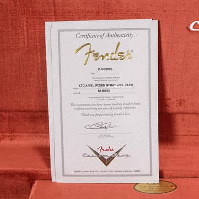 Fender Custom Shop Ariel Posen Stratocaster Limited Edition Faded Lake Placid Blue 2025 image 16
