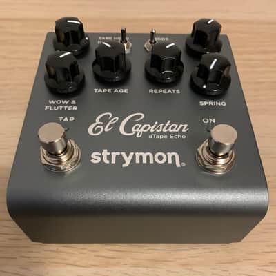 Strymon El Capistan V2 Tape Delay image 3