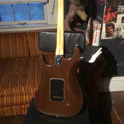 Fender Stratocaster 1974 Walnut mocha image 5