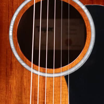 Taylor 224ce-K DLX Grand Auditorium Acoustic/Electric Guitar with Hardshell Case image 12