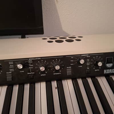 Korg Sv2 2023 - Grise image 5