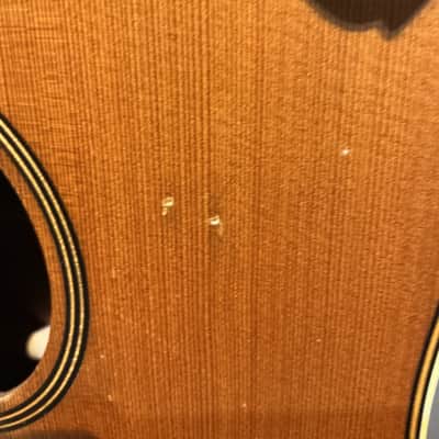 Takamine AN 10 2008 - Clear image 10