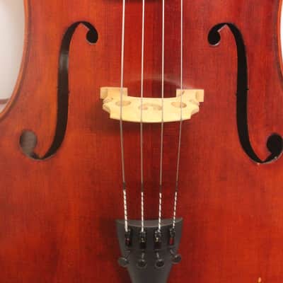 Snow SC300 Cello image 3