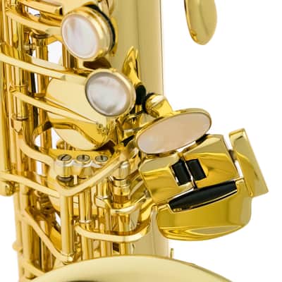 Selmer Alto Sax - Serie II in Gold Lacquer w/Engr image 9