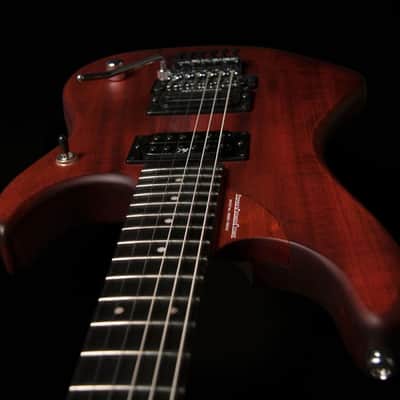 WASHBURN N24PSVINTAGEK-D | BETTENCOURT N24-NUNO VINTAGE PADAUK. New with Full Warranty! image 6