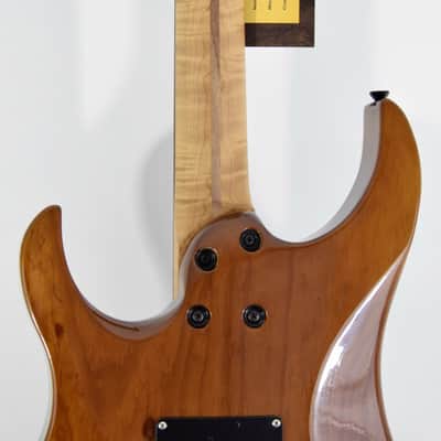 LsL Instruments XT4 DX "Adria" Electric Guitar w/ Case - Transparent Brown image 15