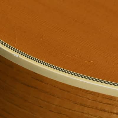 Guild D-46 Blonde 1981 image 14