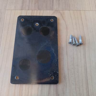 Vintage 1960's Baldwin Hollowbody Electric Guitar Neck Screw Cover Plate w/ Mounting Screws! image 2