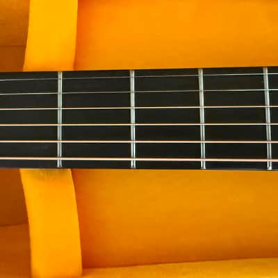 Alvarez Laureate Series LD70E Daybreak - Acoustic/Electric Dreadnought Guitar - 2026 Model with a Generic Hard Shell Case image 7