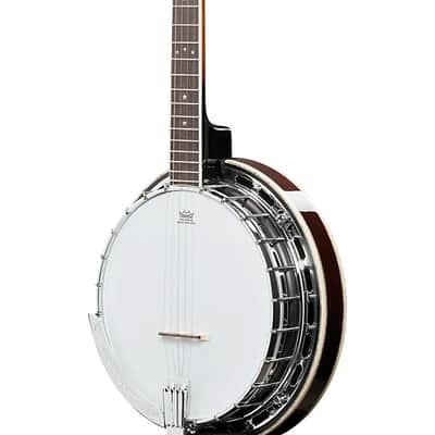 Ibanez US250 Banjo - USA 250 Anniversary Limited Edition image 6