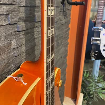 Gretsch G6120 Eddie Cochran Signature Hollow Body image 4