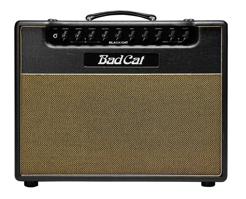 Bad Cat Black Cat Combo 20-Watt 2-Ch 1x12" Guitar Combo Amp image 1
