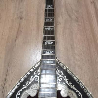 Greek bouzouki & Hardcase & pickup & tuner & 300 backing track with pdf scores 8 string image 6