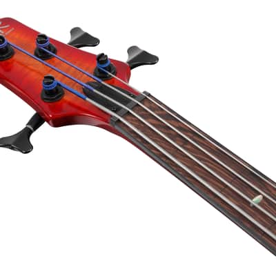 Ibanez SRD900FBTL Bass Workshop Fretless Bass Guitar - Brown Topaz Burst image 5