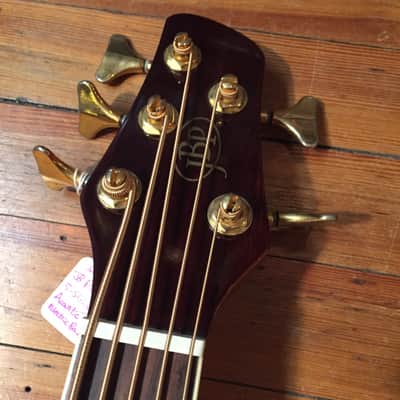 JB Player JBEAB4000NA 5-String Acoustic Electric Bass image 6