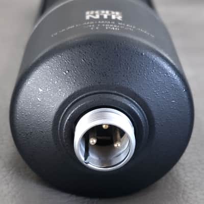 RODE NTR Active Ribbon Microphone image 8