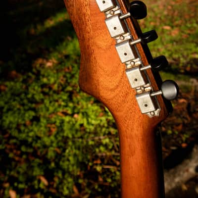 2016 Echopark Arroyo Californian Build - Dean Fertita Model & Spec image 10