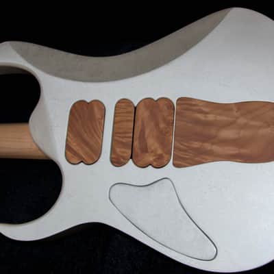GB Liuteria Custom Boutique Ergal 6 string jem edition image 14