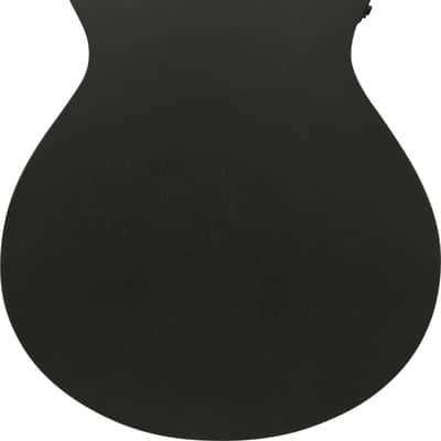 Ibanez AEG1221-BOT image 2