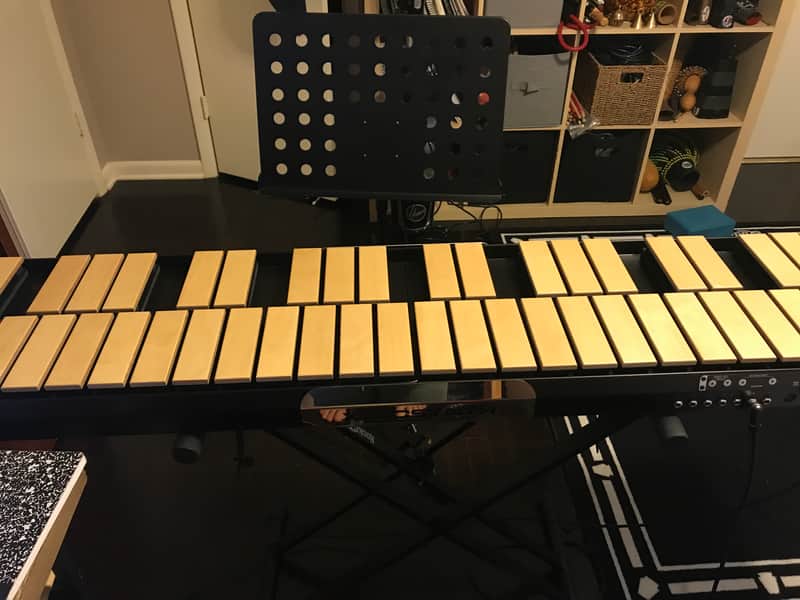 Xylosynth XS7-4BB 2020 image 1