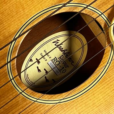 Washburn Model RO-10 Rover Travel Acoustic Guitar Natural image 3