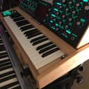 Moog Minimoog Voyager Select Series Maple on Jade