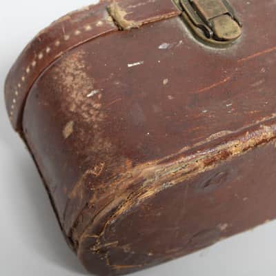 Immagine 50s Gibson 17" Case Brown/Pink Case - 10
