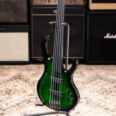 Ibanez Steve Di Giorgio Signature SDGB1-DMT 5-String Fretless Electric Bass - Dark Moss Burst image 13