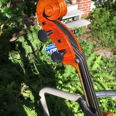 Tenor Violin (half-size cello tuned GDAE) image 16
