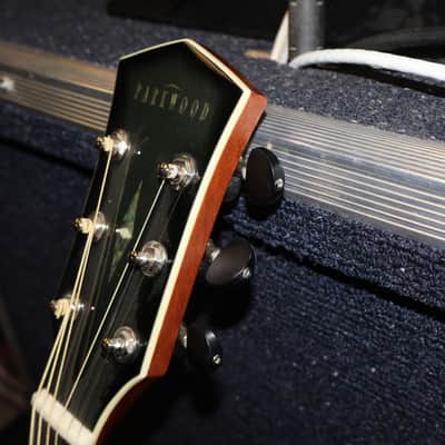 Parkwood PW560 6-String Acoustic Electric Guitar image 5