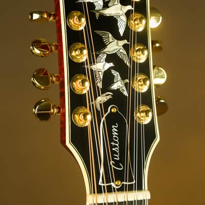 Gibson Doves in Flight 12 String Rare Custom Acoustic Guitar imagen 6