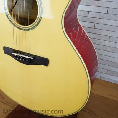 Ibanez AE170-NTR - Natural Top / Transparent Red Back and Sides image 6