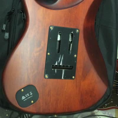 Immagine Ibanez SLM10-TRM Scott LePage - 6
