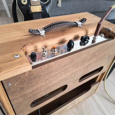Princeton Oak 5f2-A clone with 12" speaker image 2