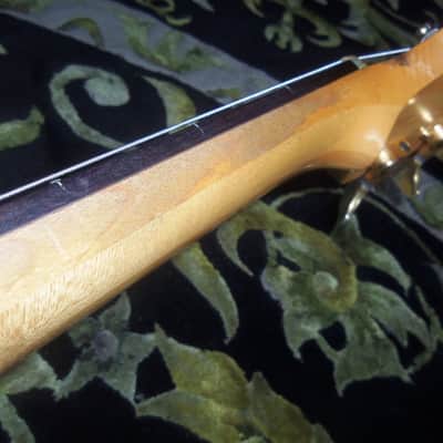 Alembic Epic 5 String Bass 1994 Natural image 15