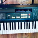 Korg DW-6000 80s vintage synth