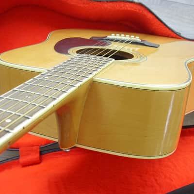 Ibanez M-340 Dreadnaught 1982 Maple / Natural image 6