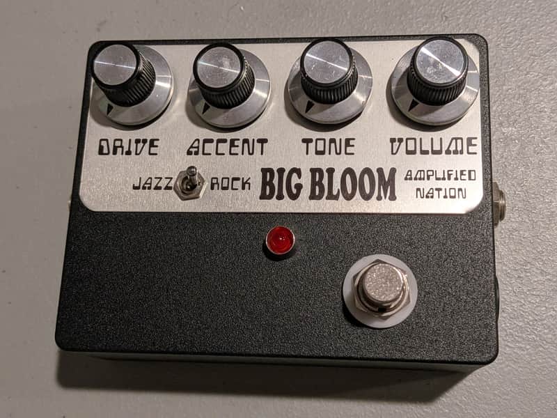Amplified Nation Big Bloom image 1