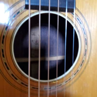N B Curtiss (Lyon and Healy) Parlor Guitar 1905 - Natural image 4