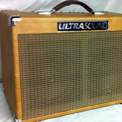 Ultrasound DS3  DS-3  Acoustic Amplifier image 4