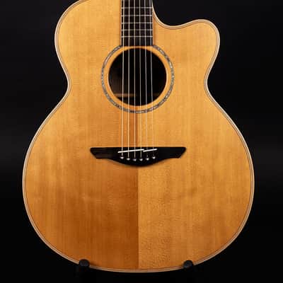 Avalon Pioneer L2-30C Custom with LR Baggs pickup 2019 *Rare one off build* image 1