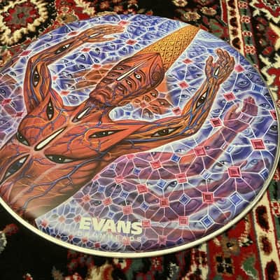 Evans Danny Carey 22"  Fear Inoculum “The Turning Man” #1 & #2  Bass Drum Head Set image 3